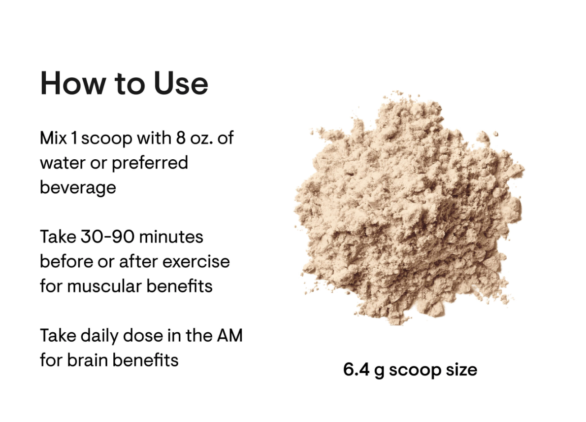 Creatine 60 servings - Nutrition House