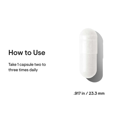 Acetyl-L-Carnitine - Nutrition House