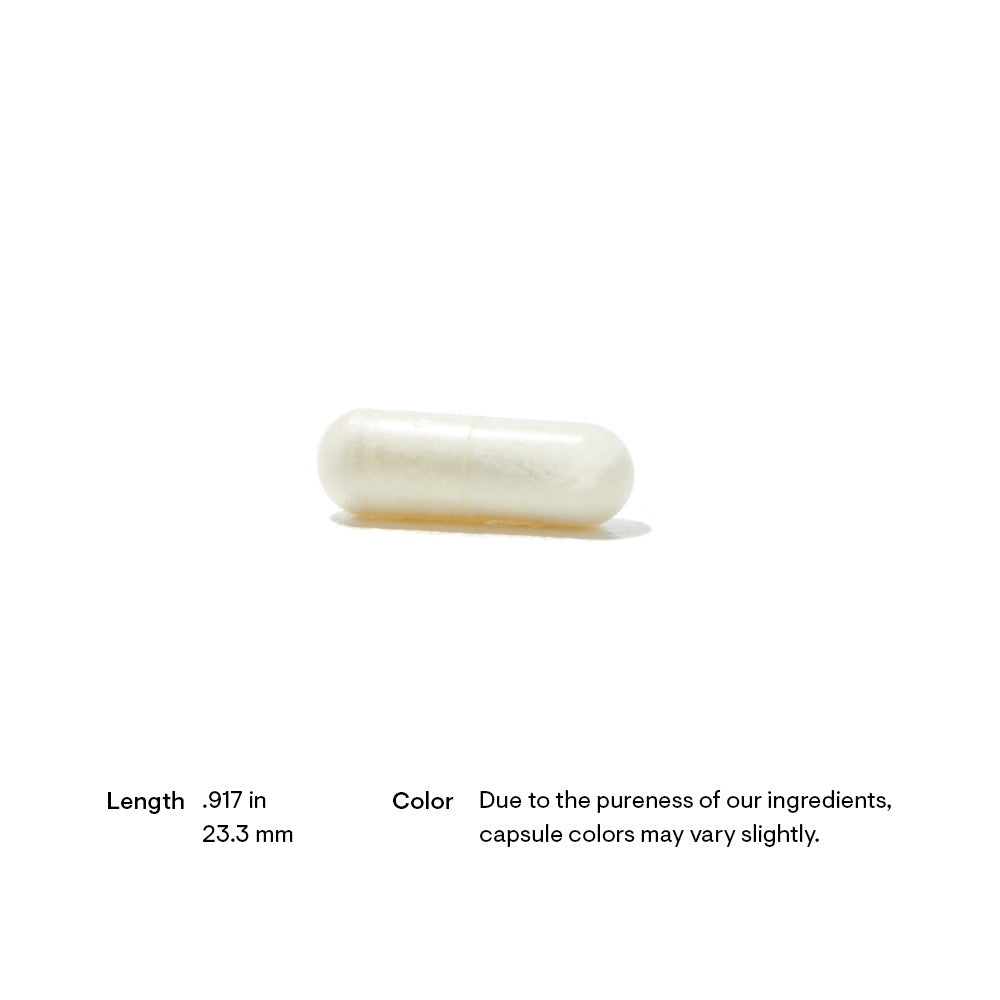 Advanced Digestive Enzymes - Nutrition House