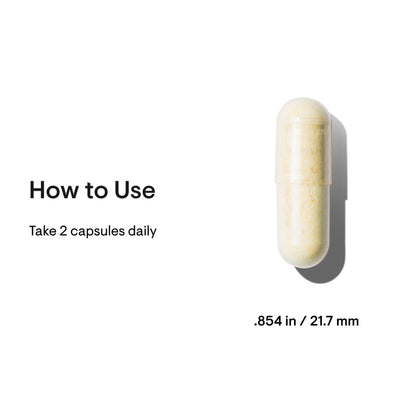 Basic Nutrients 2/Day - Nutrition House