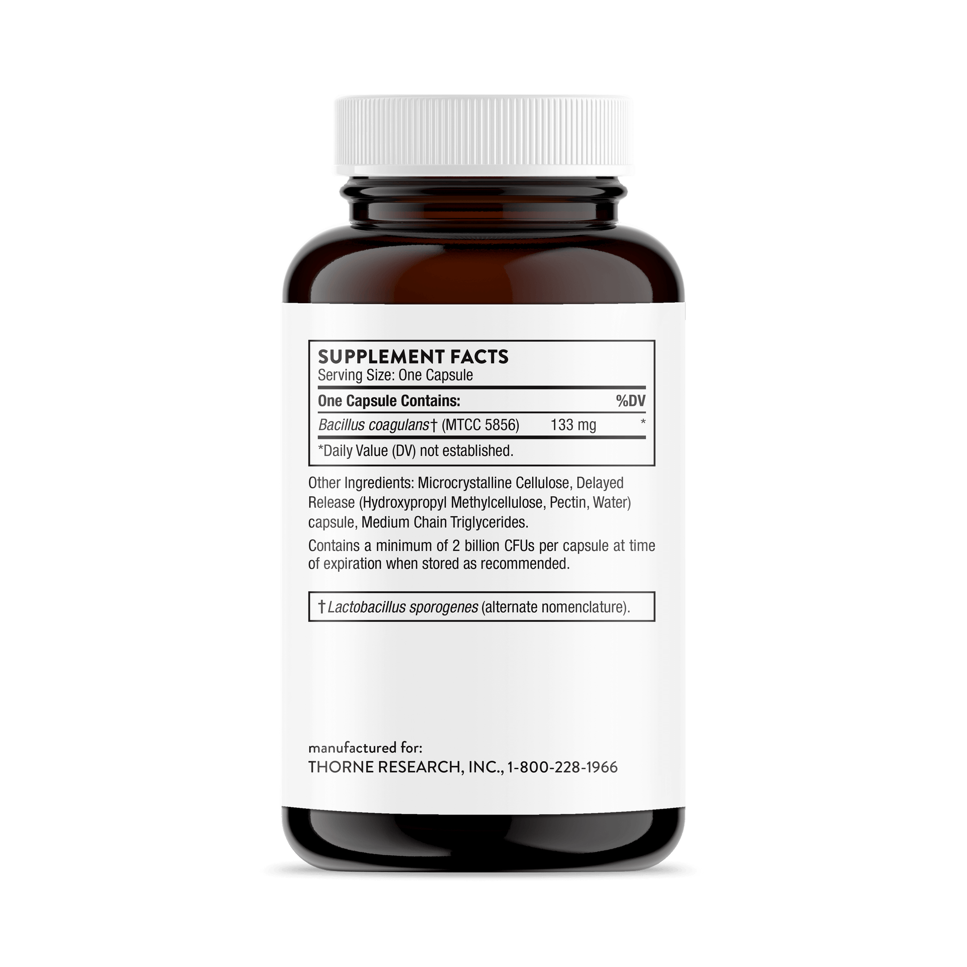 Bacillus Coagulans - Nutrition House