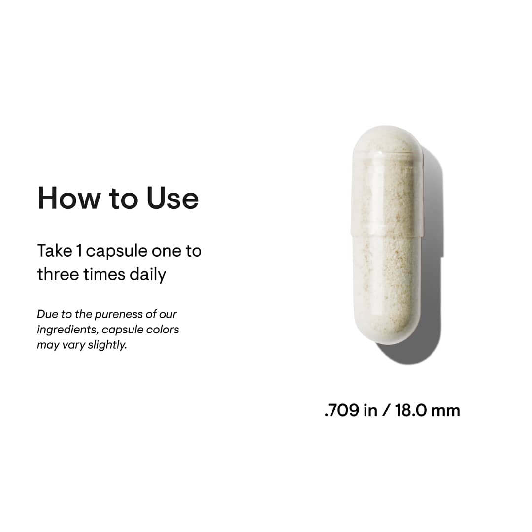 Ferrasorb - Nutrition House