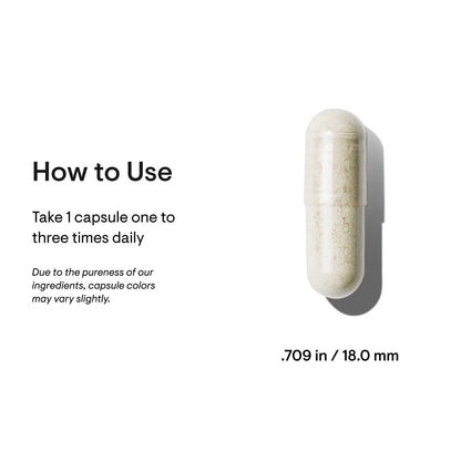 Ferrasorb - Nutrition House