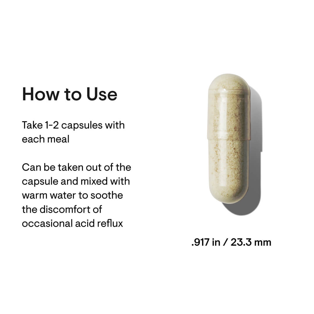 GI Relief* - Nutrition House