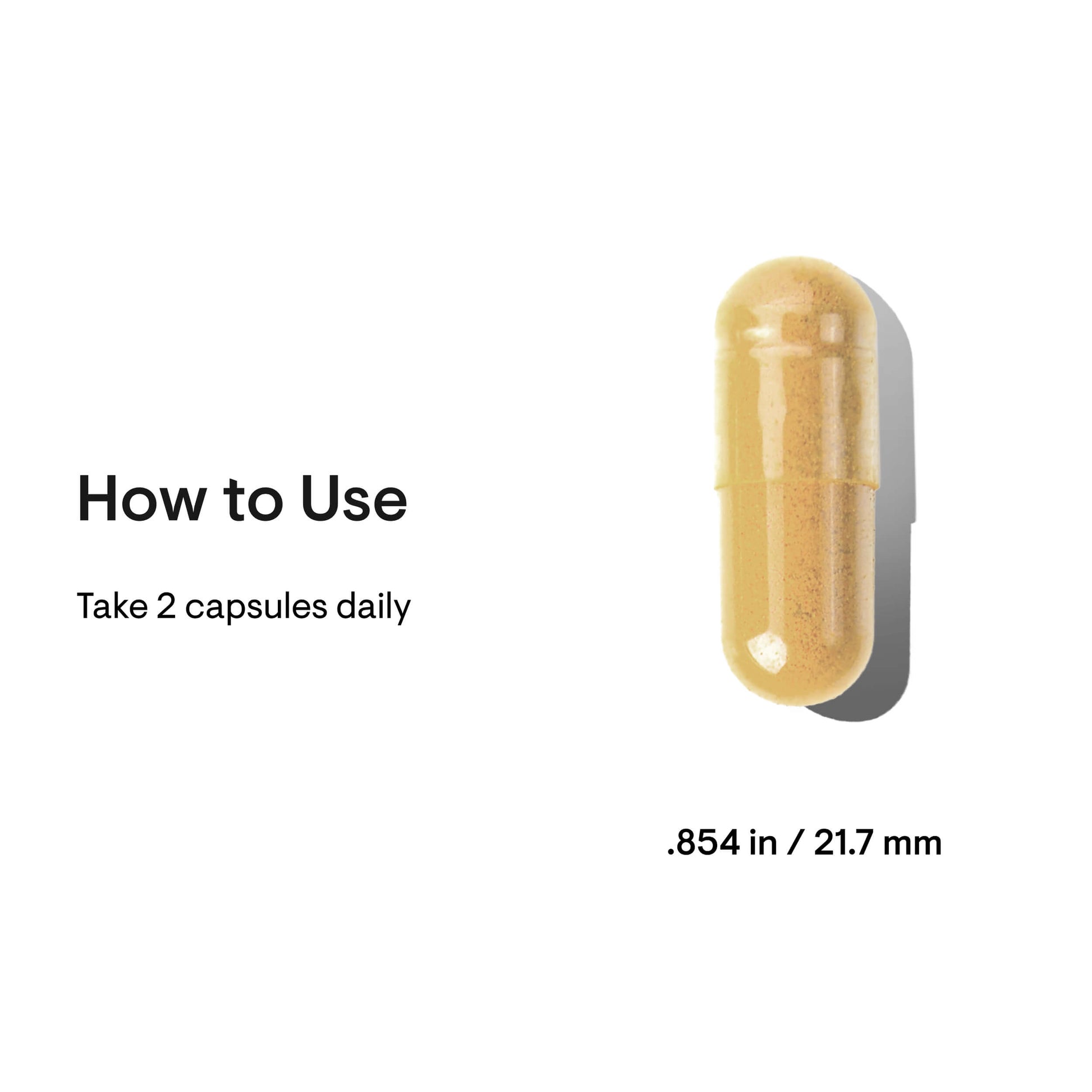 Meta-Balance - Nutrition House