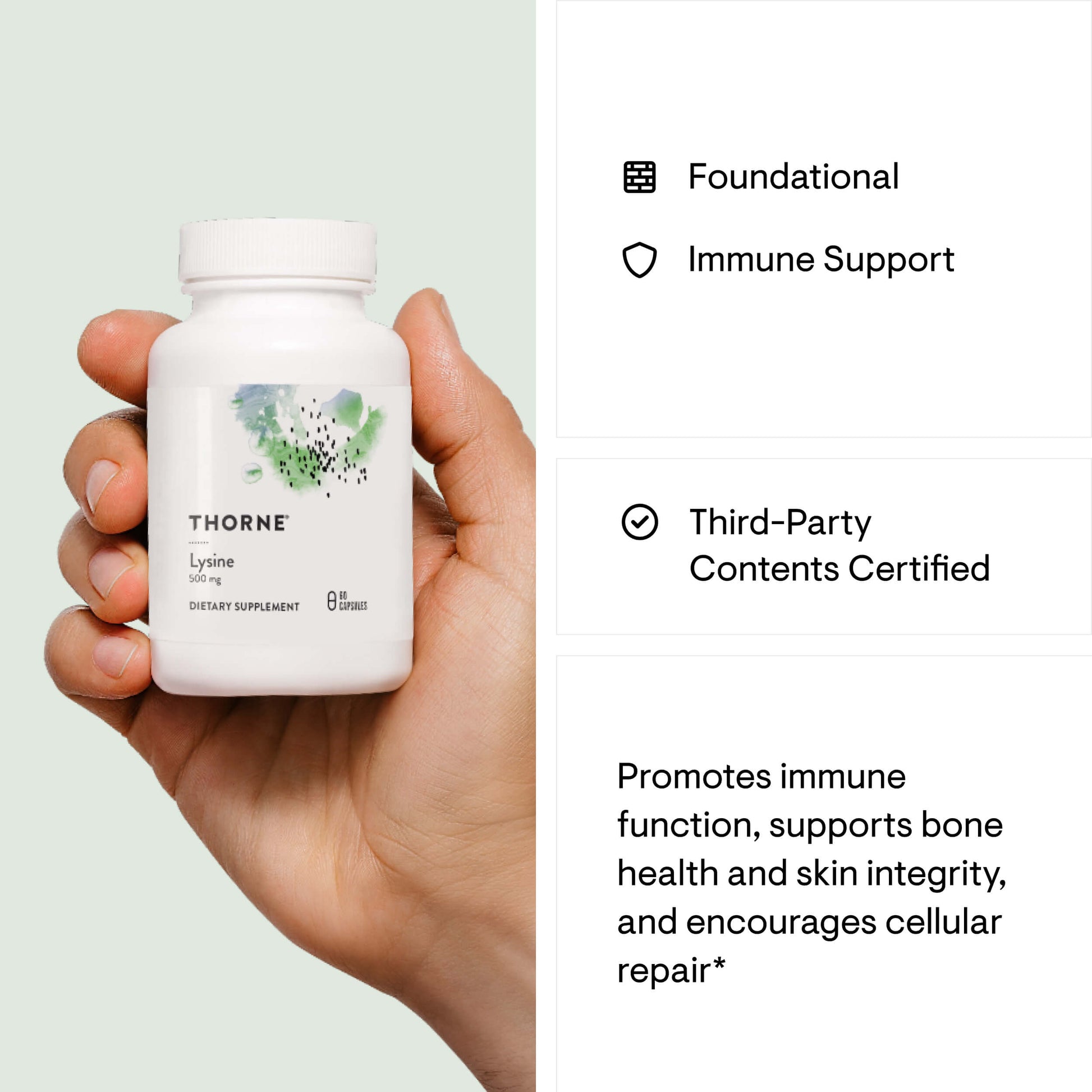 Lysine - Nutrition House