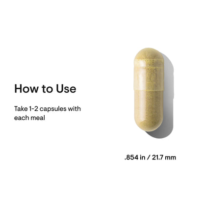 Pancreatic Enzymes - Nutrition House