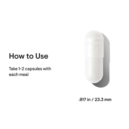 Multi Enzyme - Nutrition House