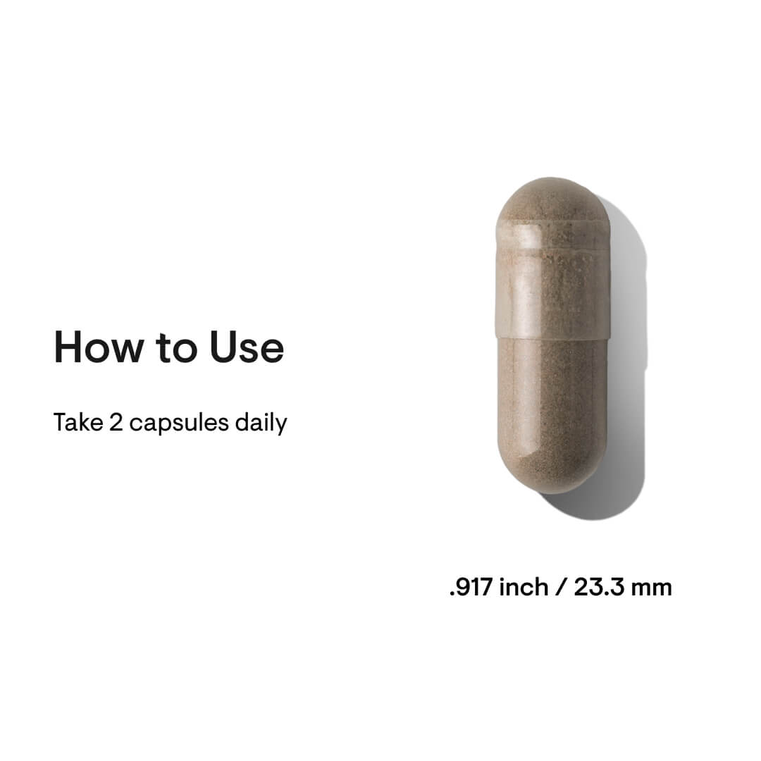 Ginseng Plus - Nutrition House