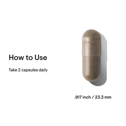 Ginseng Plus - Nutrition House